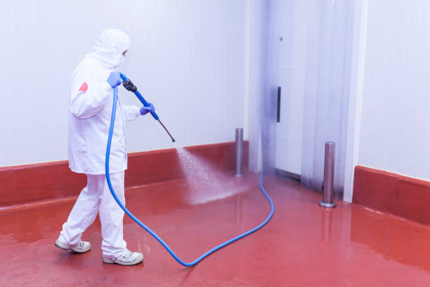 Best Building Exterior Washing  in West Dundee, IL