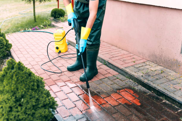Solar Panel Cleaning in West Dundee, IL